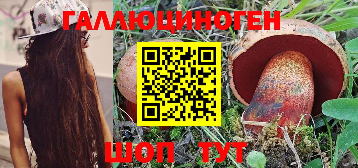 Галлюциногенные грибы Psilocybine cubensis  Вход с VPN  Переславль-Залесский  Псилоцибиновые грибы мицелий 